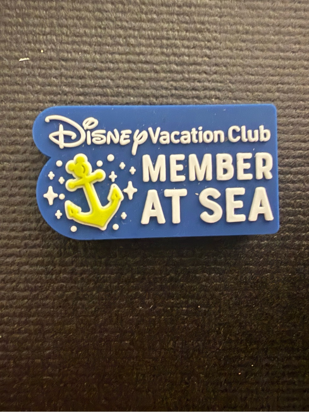 DVC MAGIC BAND SLIDER / DISNEY CRUISE LINE
